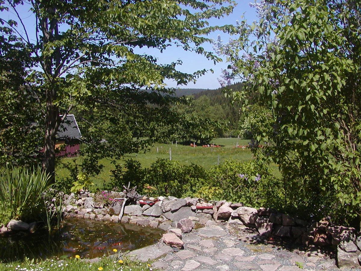 Altenberg Ferienwohnung Petzold מראה חיצוני תמונה